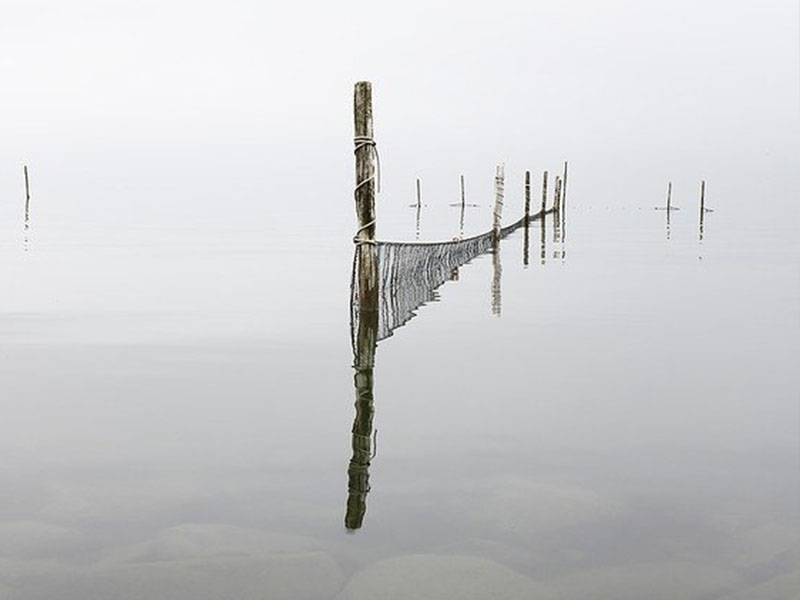 alignement 2